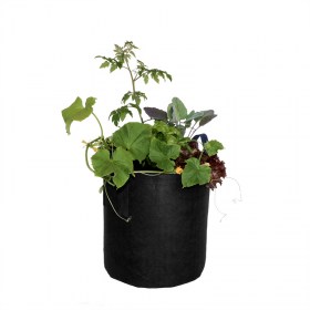 Root Pouch 45 Liter schwarz bepflanzt